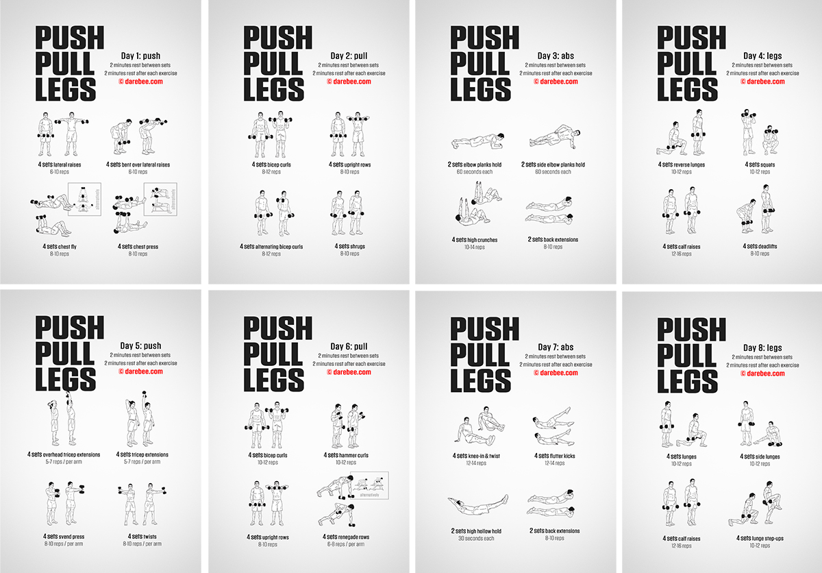 Push Pull Legs Workout No Machines at Laura Labrecque blog