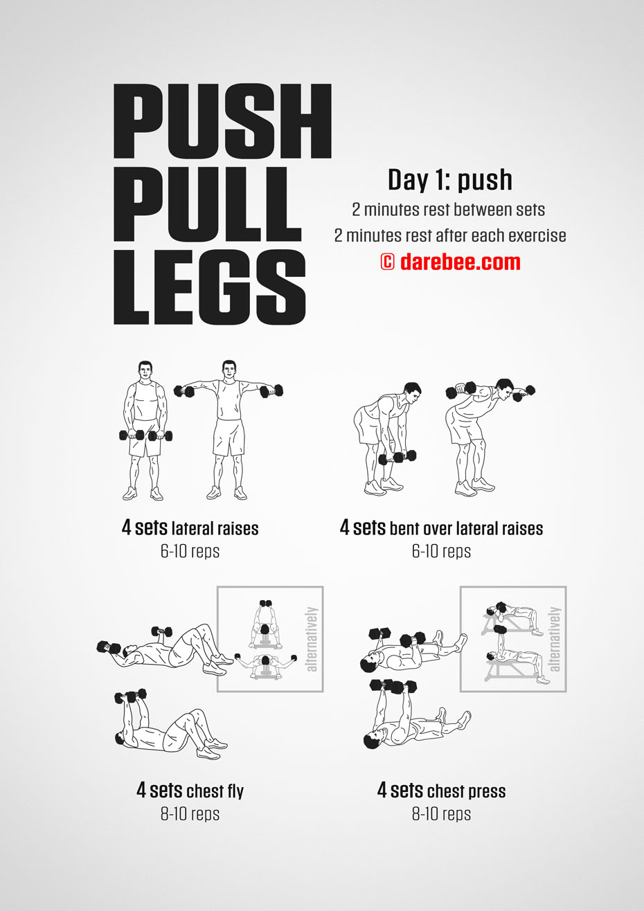 Push Pull Legs  30 Day Muscle Building Dumbbell Program by DAREBEE