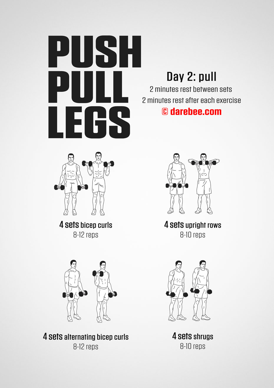 Push Pull Legs  30 Day Muscle Building Dumbbell Program by DAREBEE