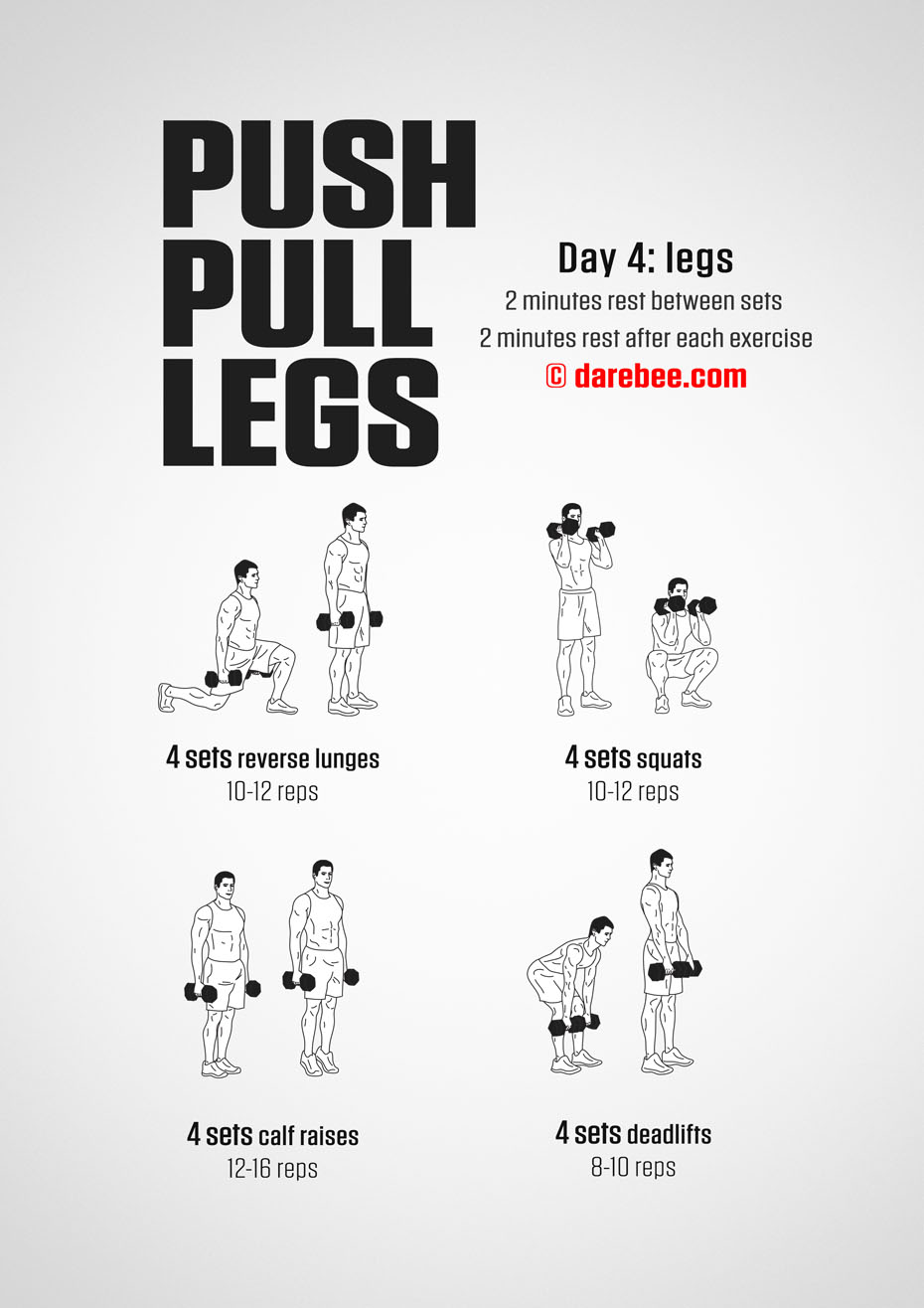 Push Pull Legs  30 Day Muscle Building Dumbbell Program by DAREBEE