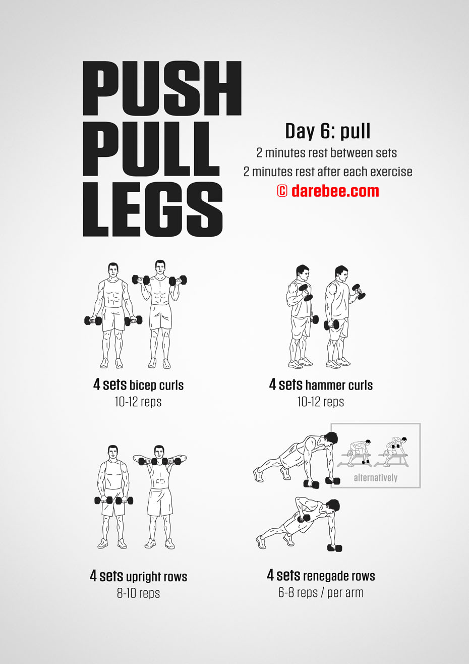 Push Pull Legs  30 Day Muscle Building Dumbbell Program by DAREBEE