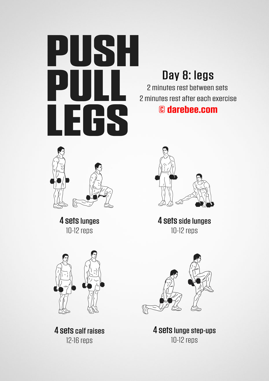 Push Pull Legs  30 Day Muscle Building Dumbbell Program by DAREBEE