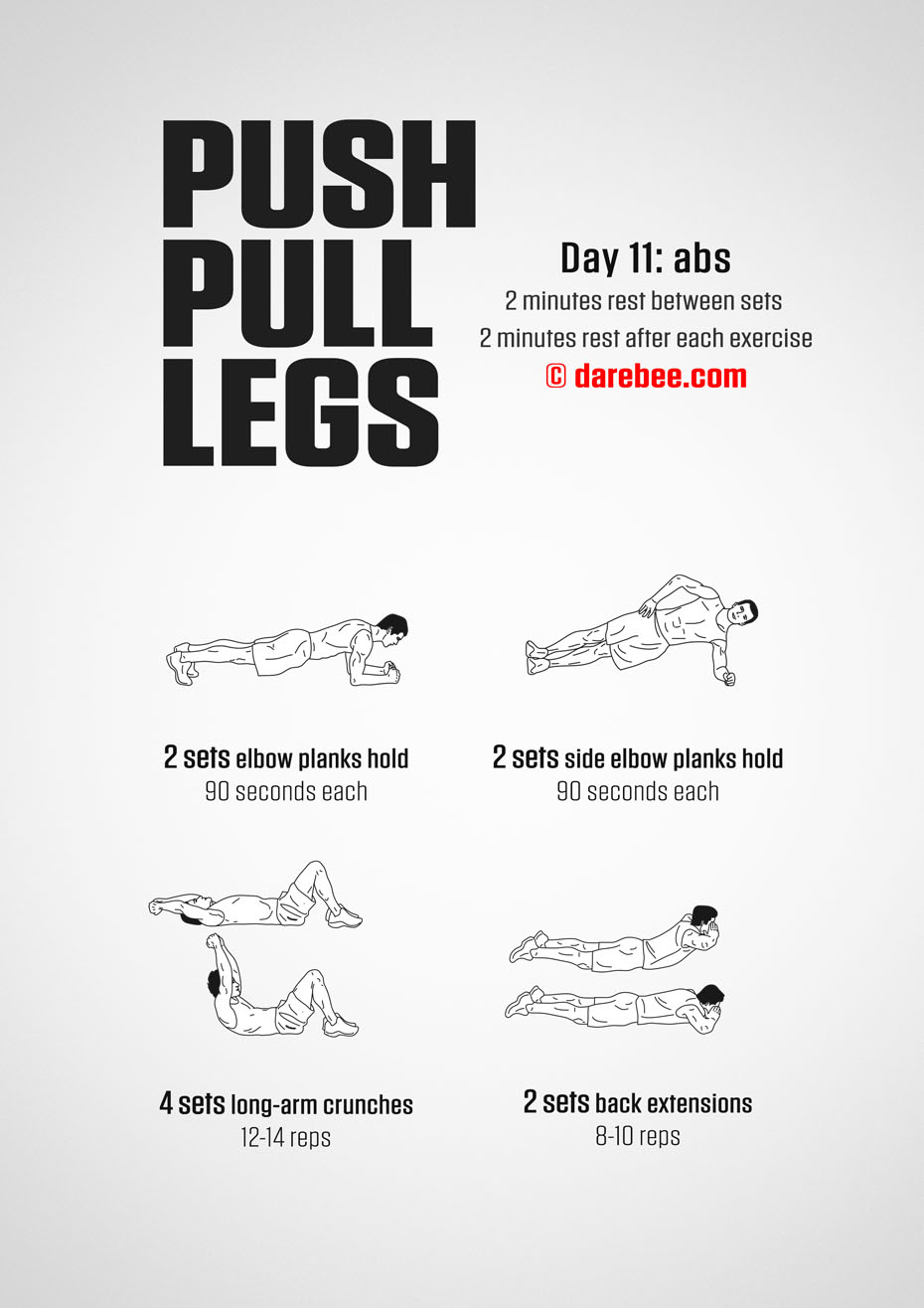 Push Pull Legs  30 Day Muscle Building Dumbbell Program by DAREBEE