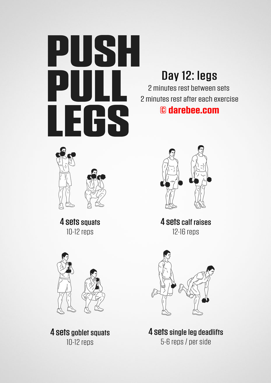 Push Pull Legs  30 Day Muscle Building Dumbbell Program by DAREBEE