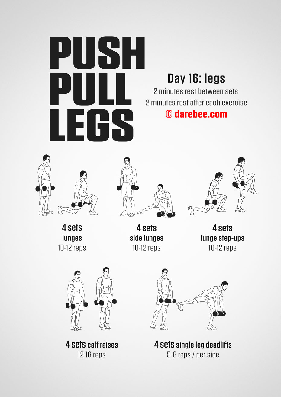 Push Pull Legs  30 Day Muscle Building Dumbbell Program by DAREBEE