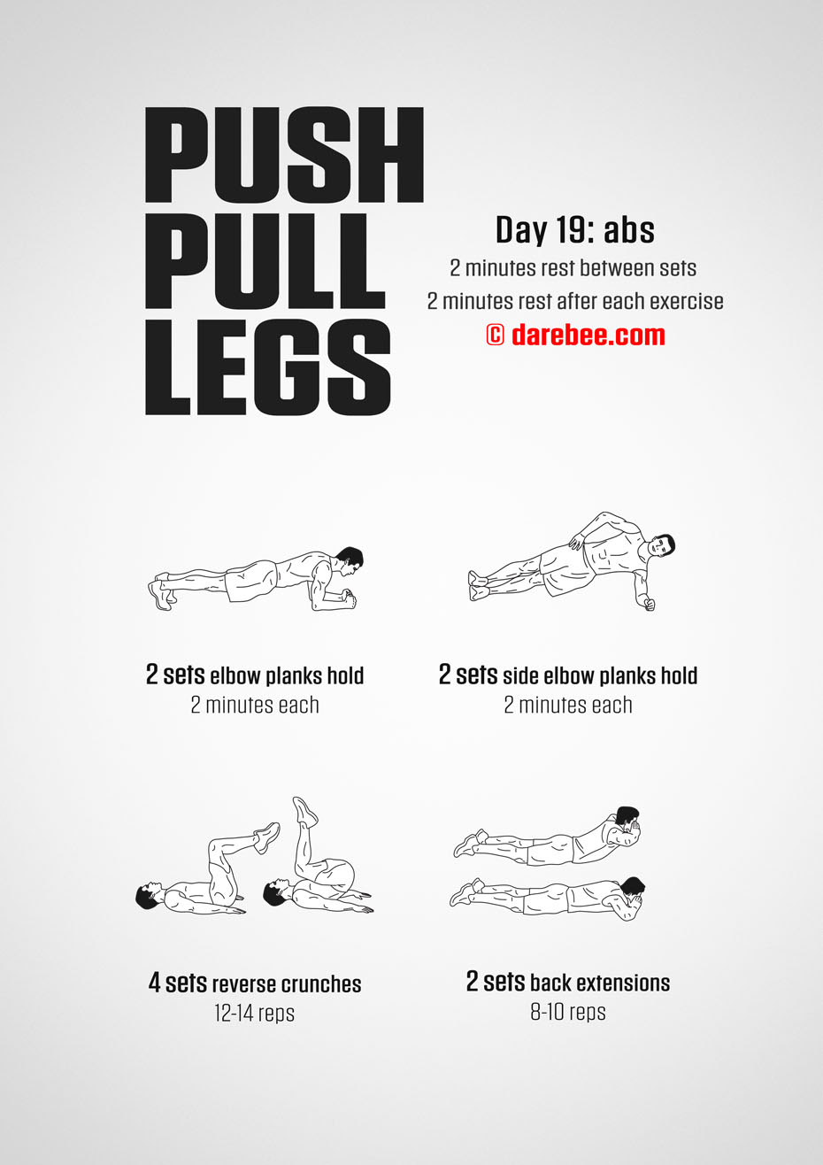 Push Pull Legs  30 Day Muscle Building Dumbbell Program by DAREBEE