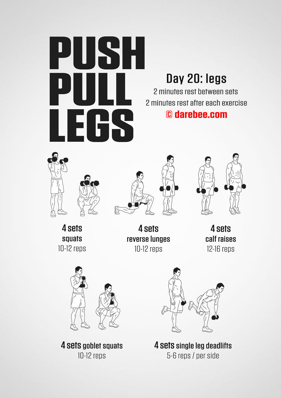 Push Pull Legs  30 Day Muscle Building Dumbbell Program by DAREBEE