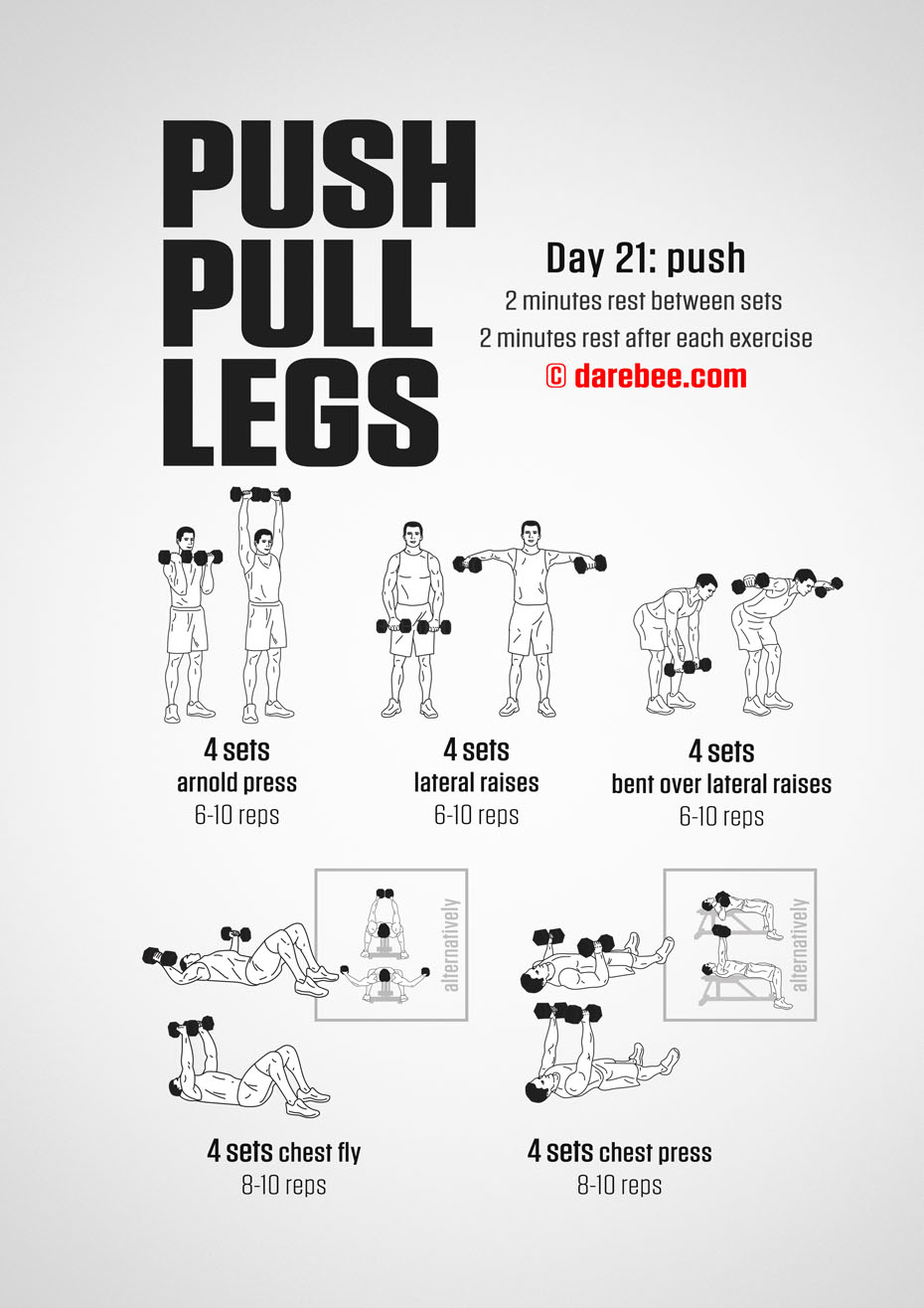 Push Pull Legs  30 Day Muscle Building Dumbbell Program by DAREBEE