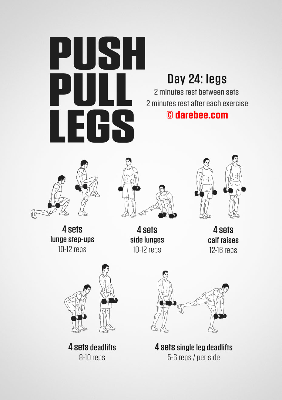 Push Pull Legs  30 Day Muscle Building Dumbbell Program by DAREBEE