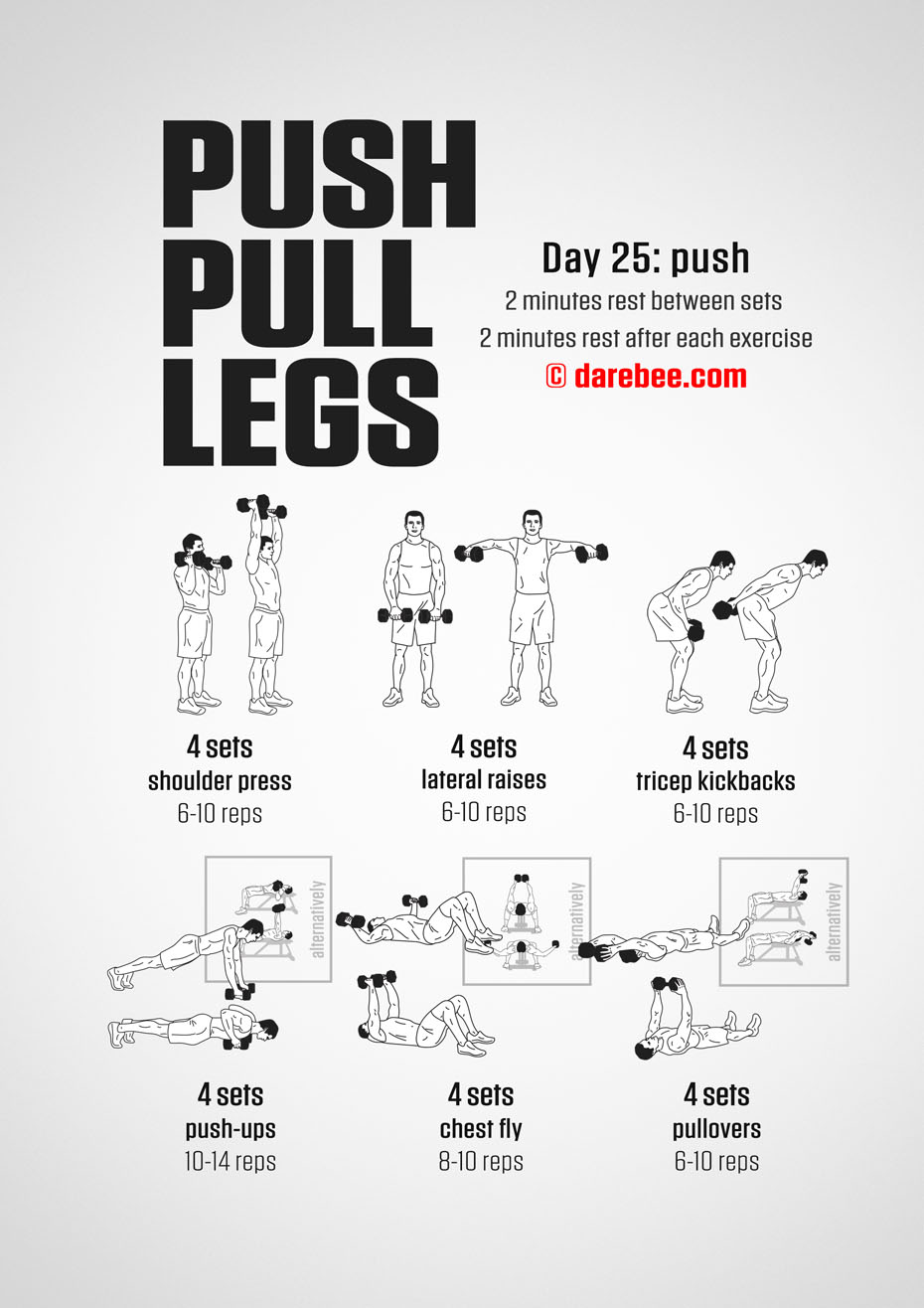 Push Pull Legs  30 Day Muscle Building Dumbbell Program by DAREBEE