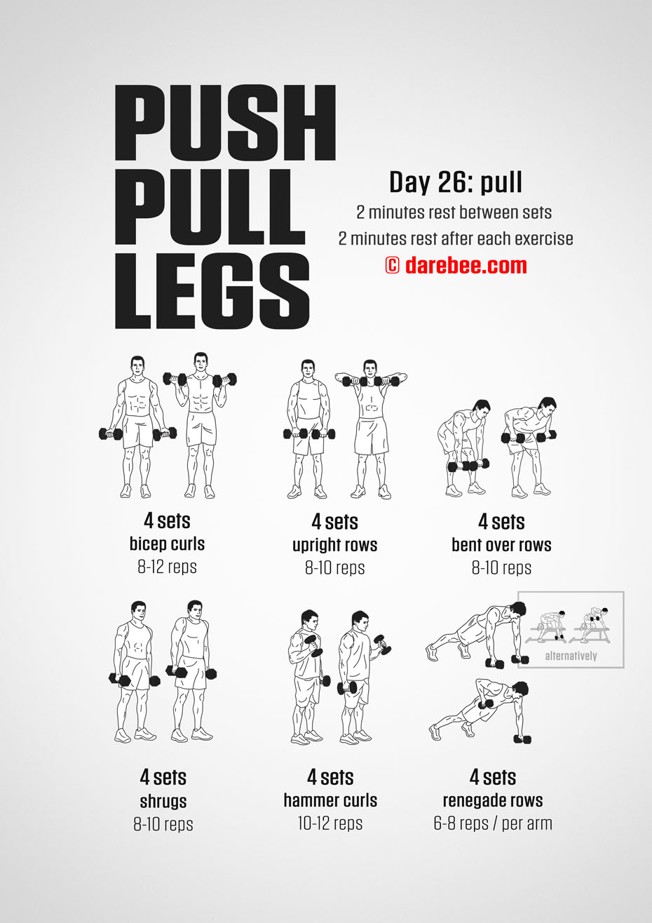 Push Pull Legs  30 Day Muscle Building Dumbbell Program by DAREBEE