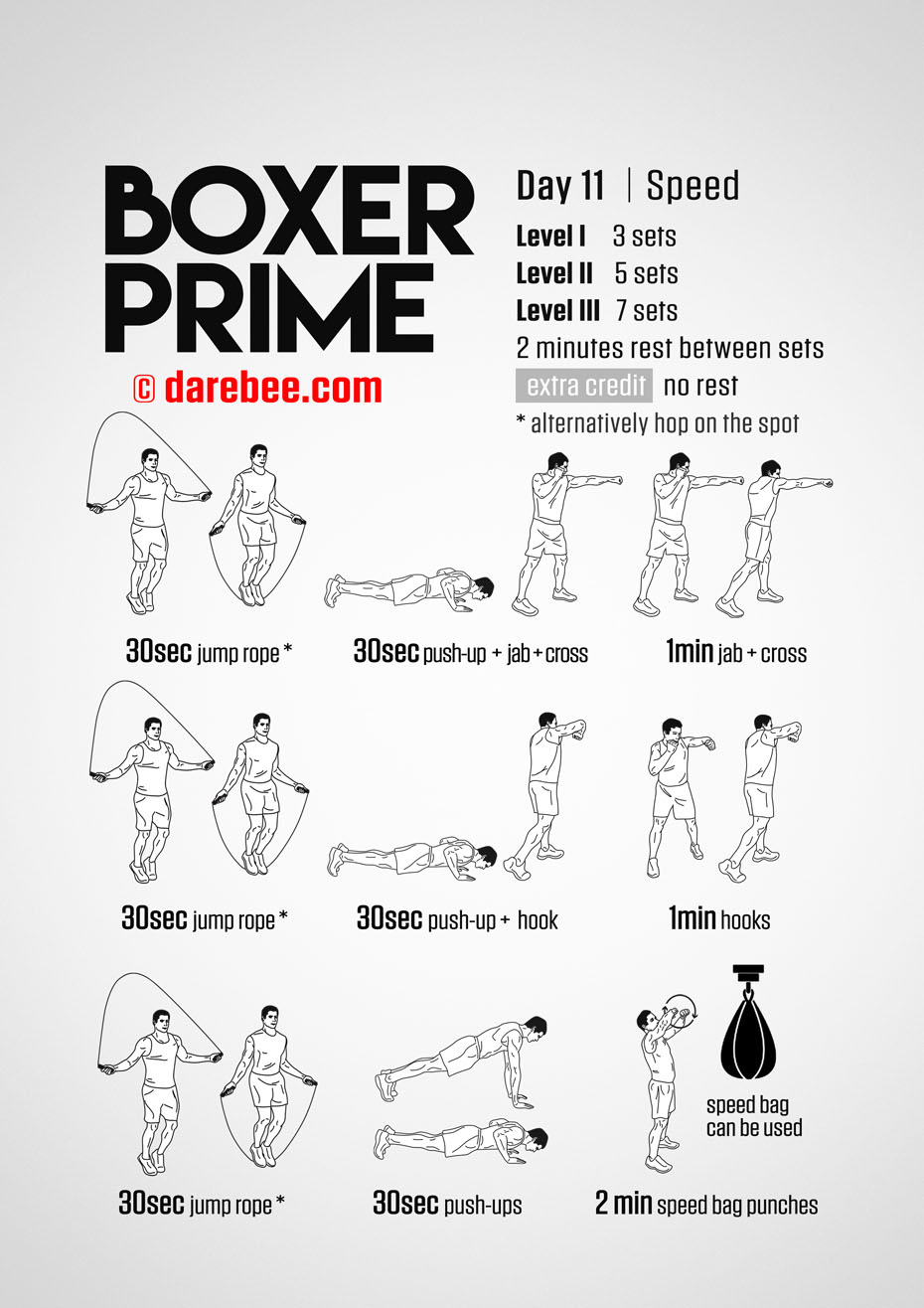 Boxer Prime: 30-Day Fitness Program