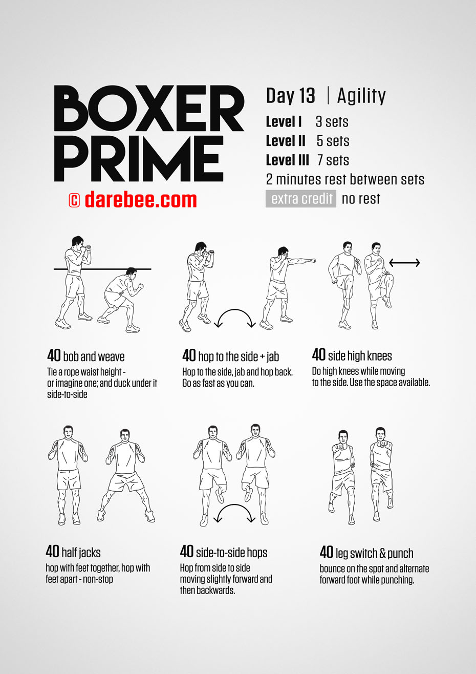 Boxer Prime: 30-Day Fitness Program