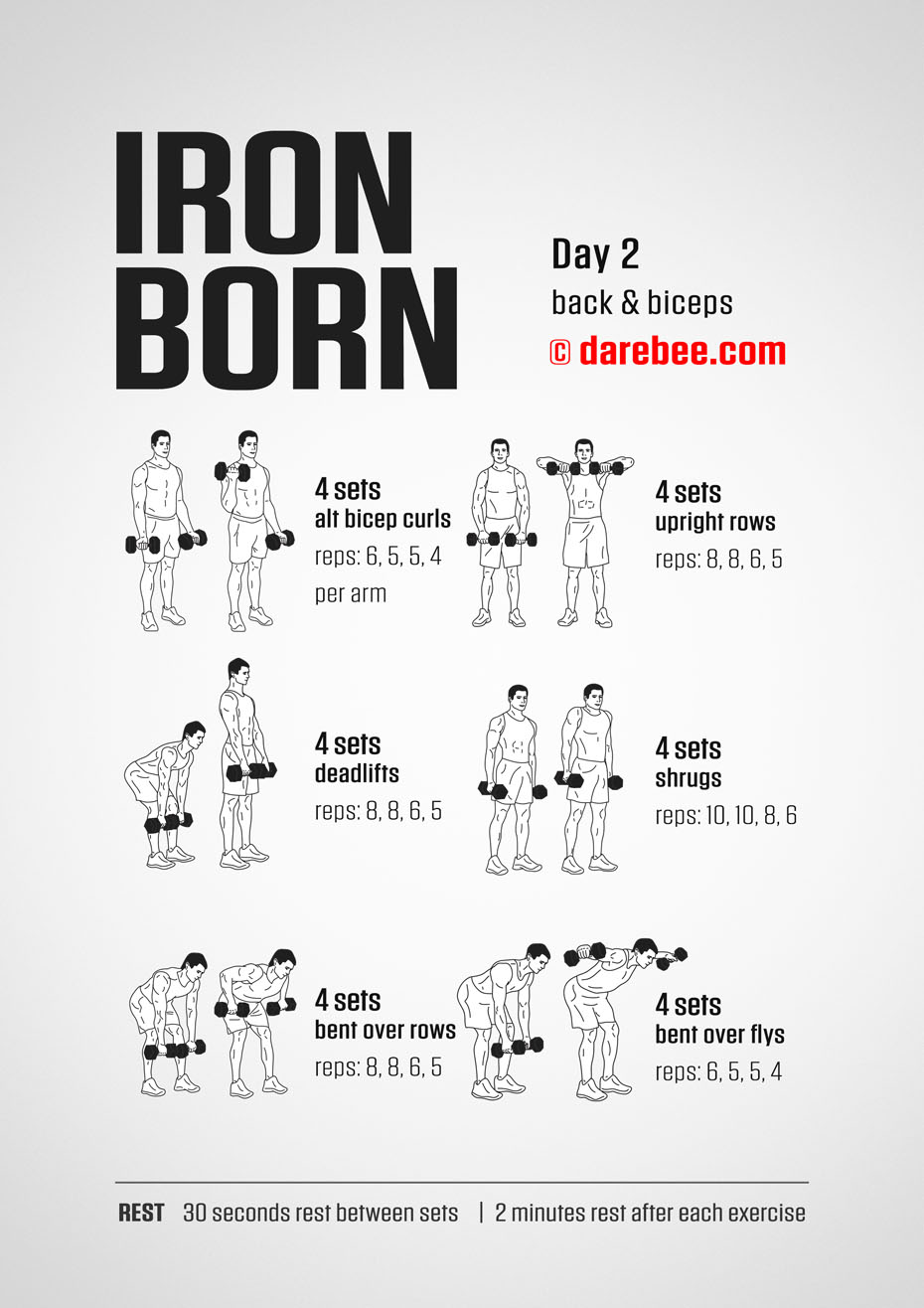 IRONBORN - 30 Day Muscle Definition Dumbbell Program by DAREBEE