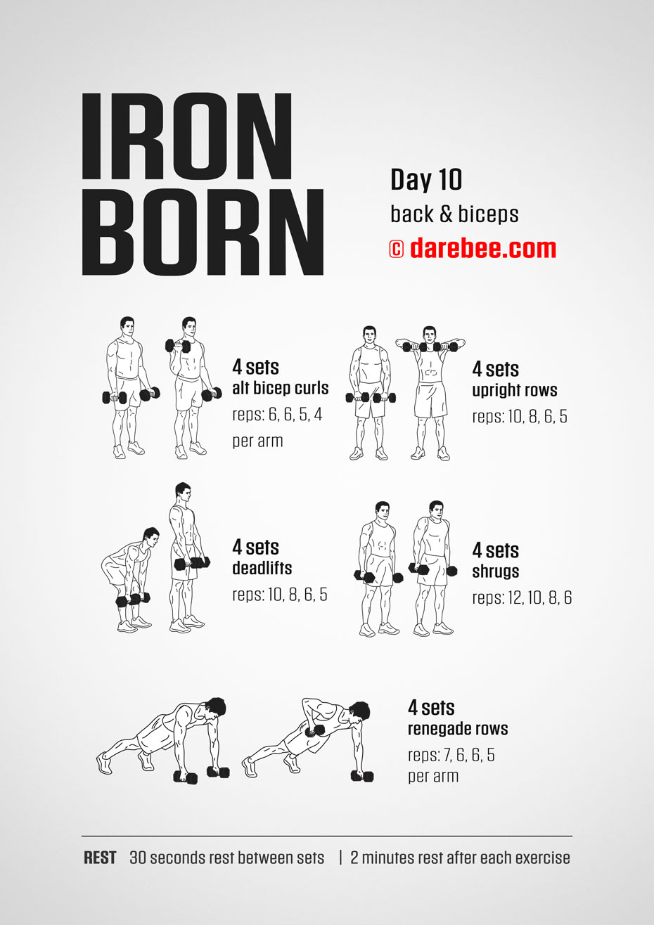 IRONBORN - 30 Day Muscle Definition Dumbbell Program by DAREBEE