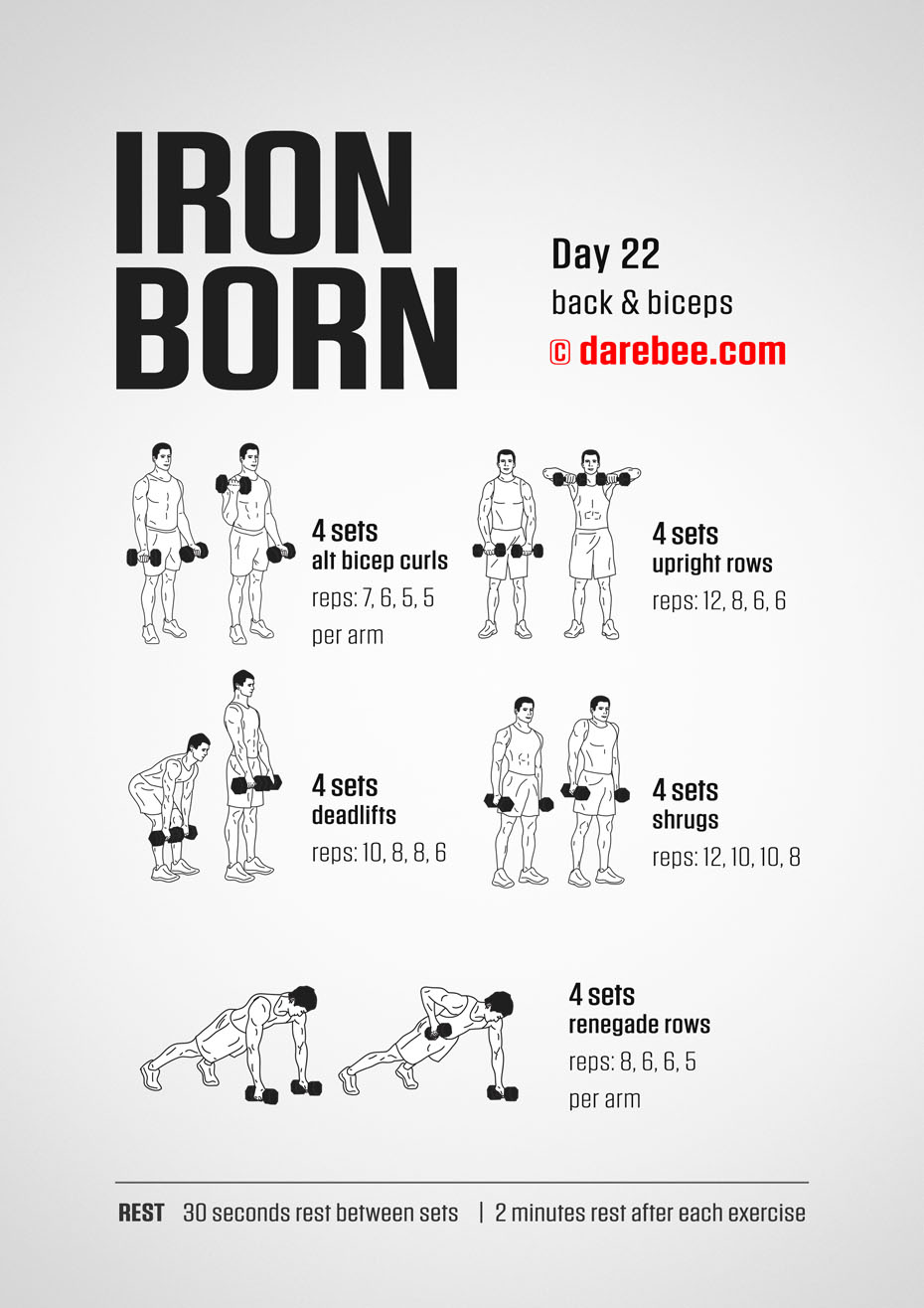 IRONBORN - 30 Day Muscle Definition Dumbbell Program by DAREBEE