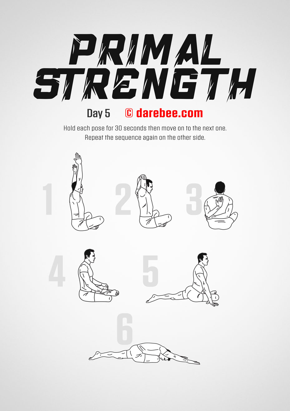 Primal Strength Program by DAREBEE