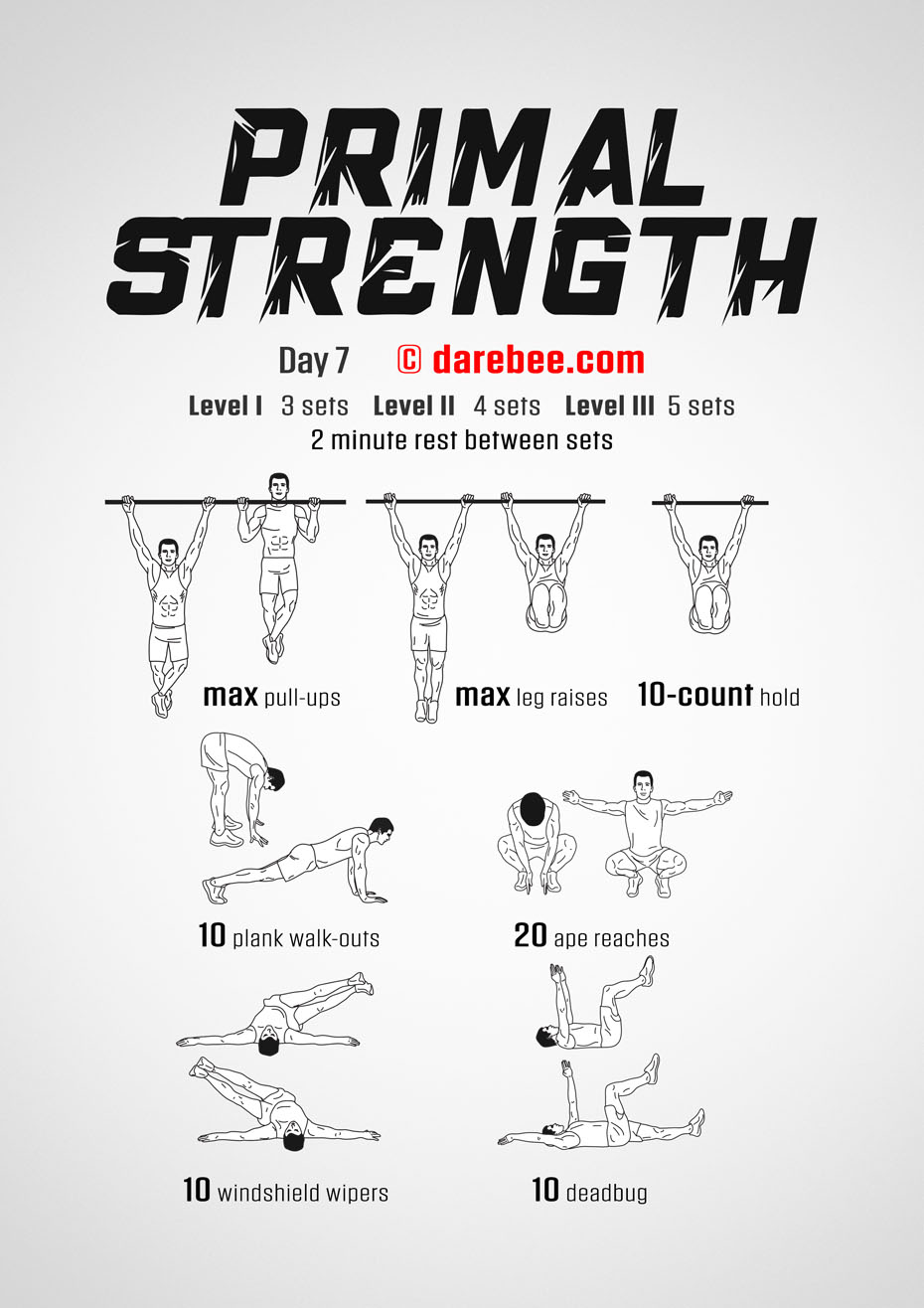 Primal Strength Program by DAREBEE