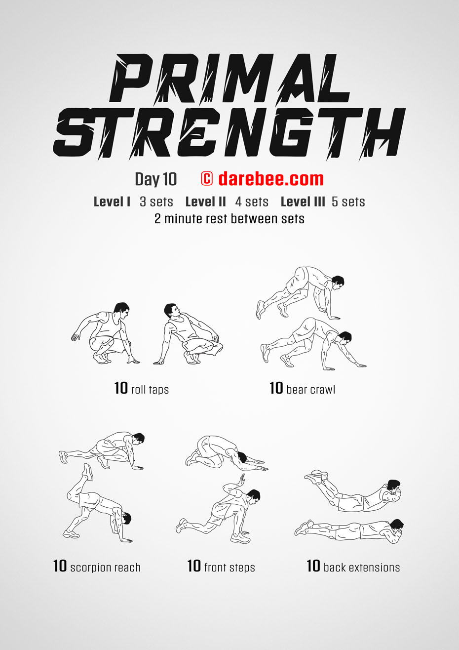 Primal Strength Program by DAREBEE