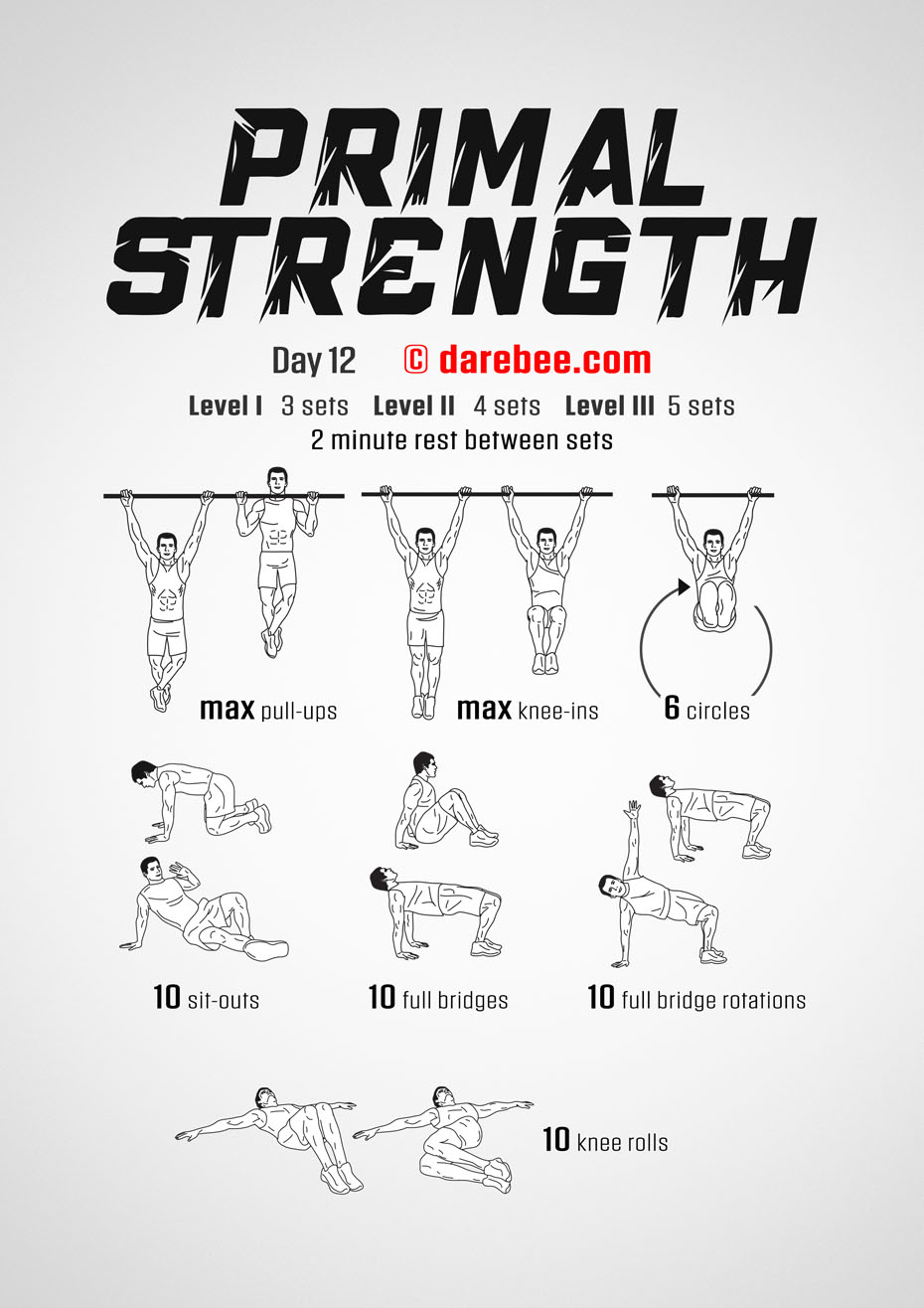 Primal Strength Program by DAREBEE