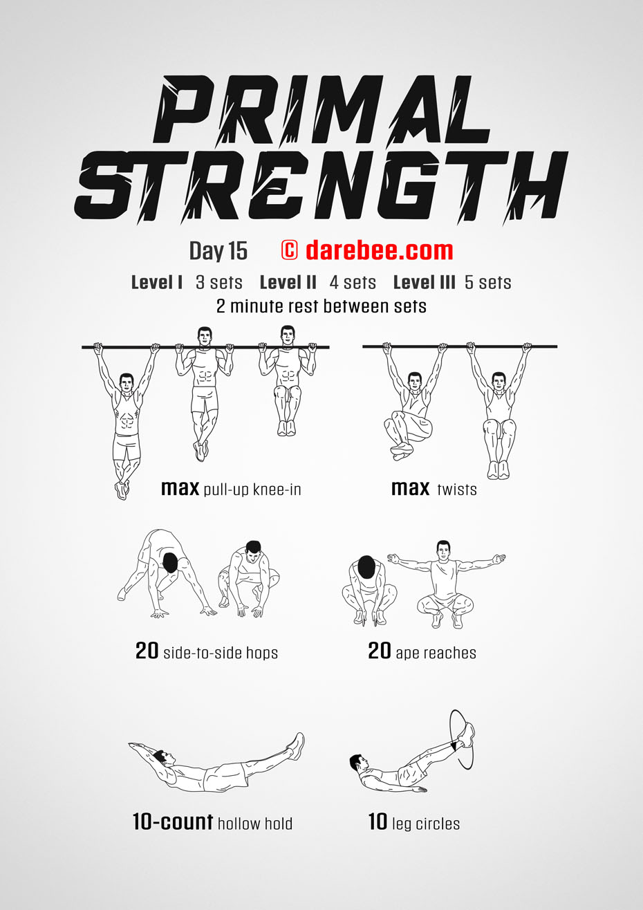 Primal Strength Program by DAREBEE