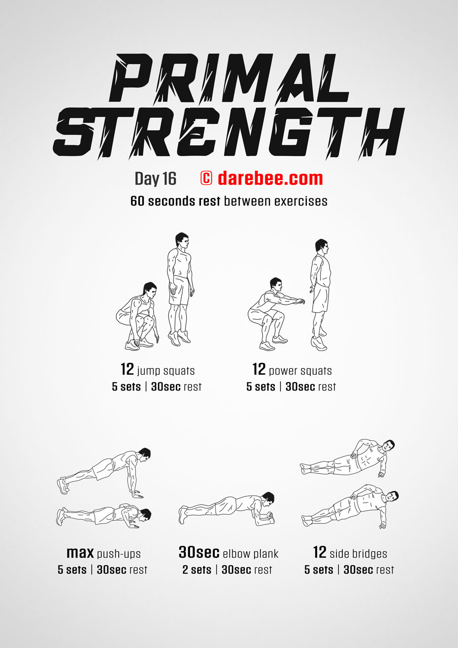 Primal Strength Program by DAREBEE