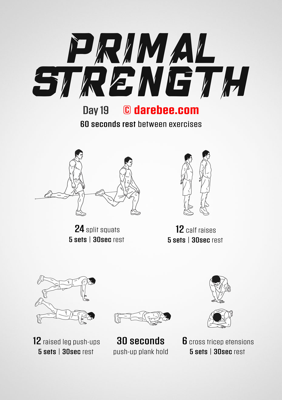 Primal Strength Program by DAREBEE