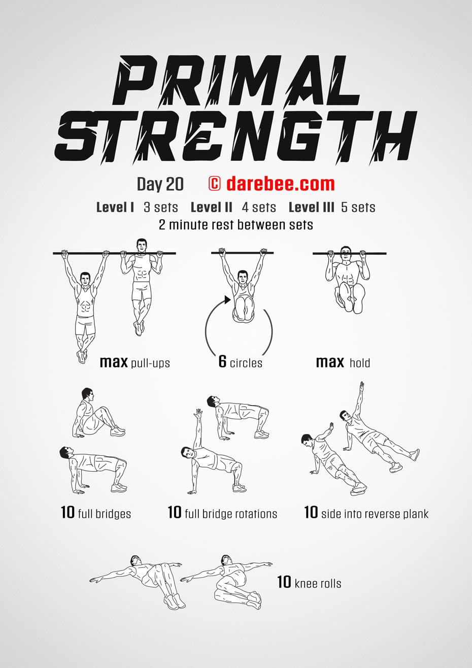 Primal Strength Program by DAREBEE