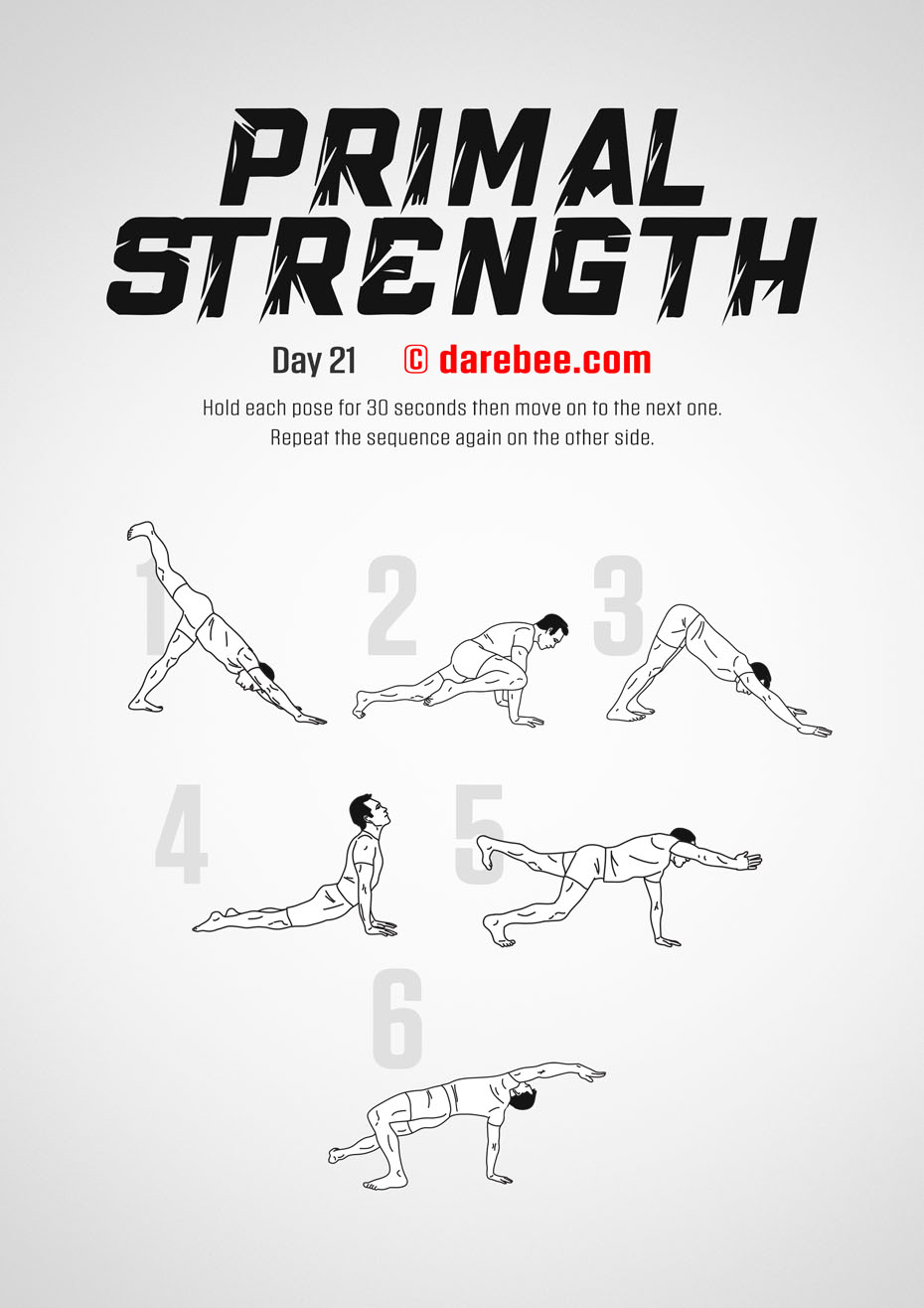 Primal Strength Program by DAREBEE