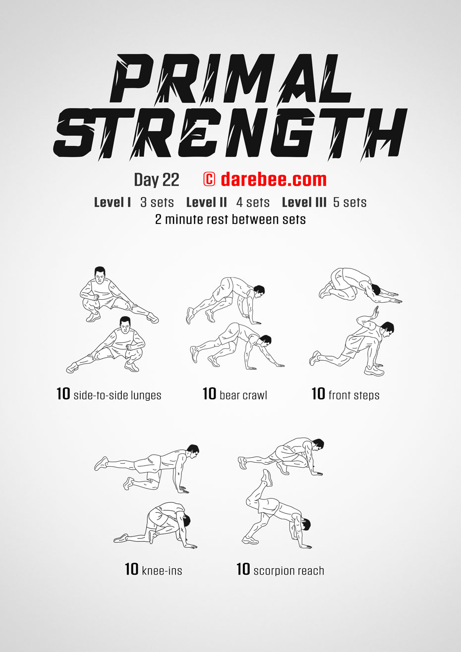 Primal Strength Program by DAREBEE