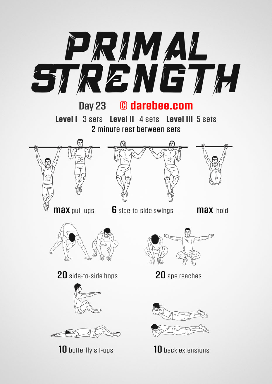 Primal Strength Program by DAREBEE