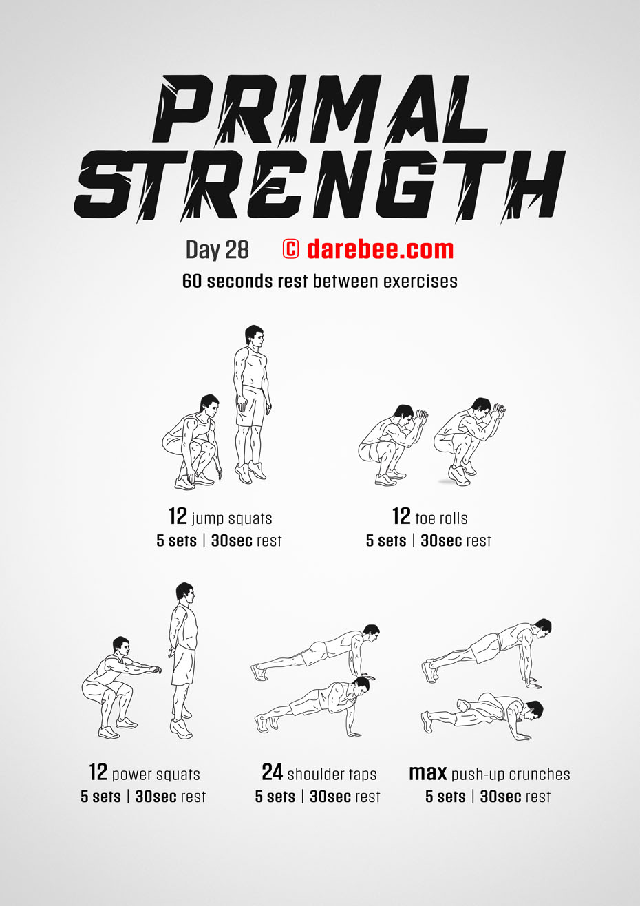 Primal Strength Program by DAREBEE