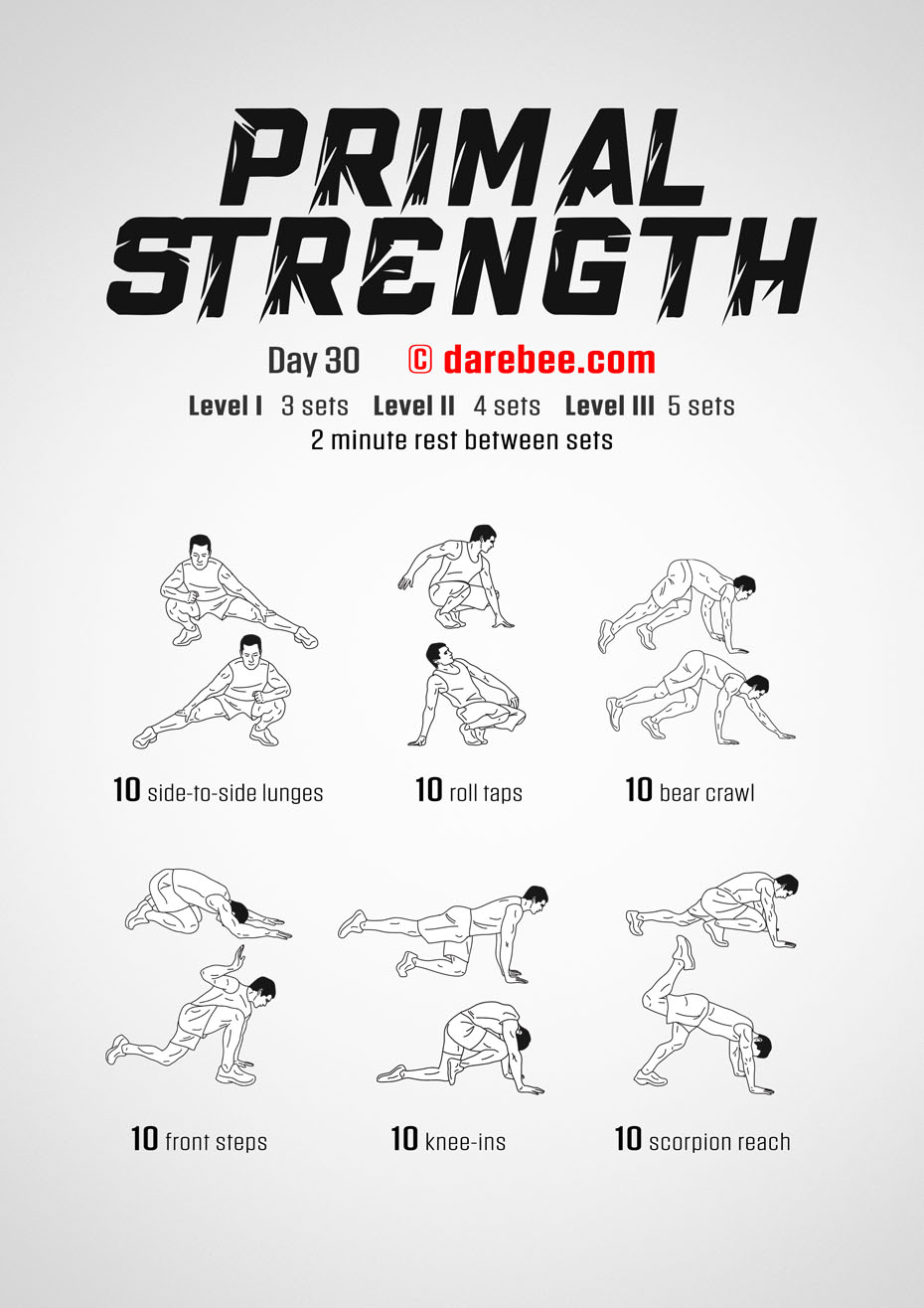 Primal Strength Program by DAREBEE