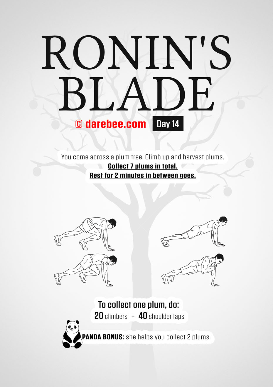 Ronins Blade 30 Day RPG Fitness Program by DAREBEE