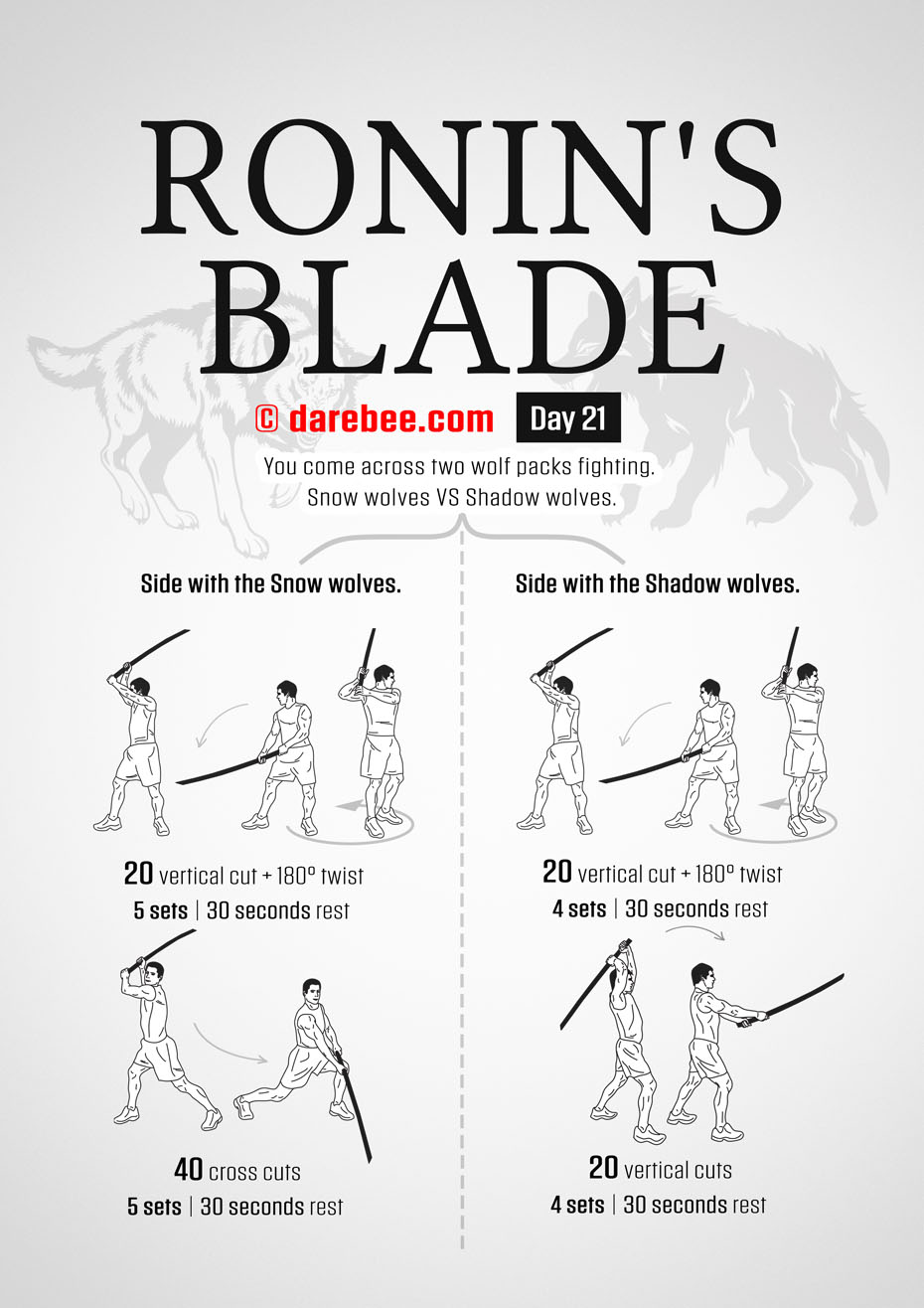 Ronins Blade 30 Day RPG Fitness Program by DAREBEE