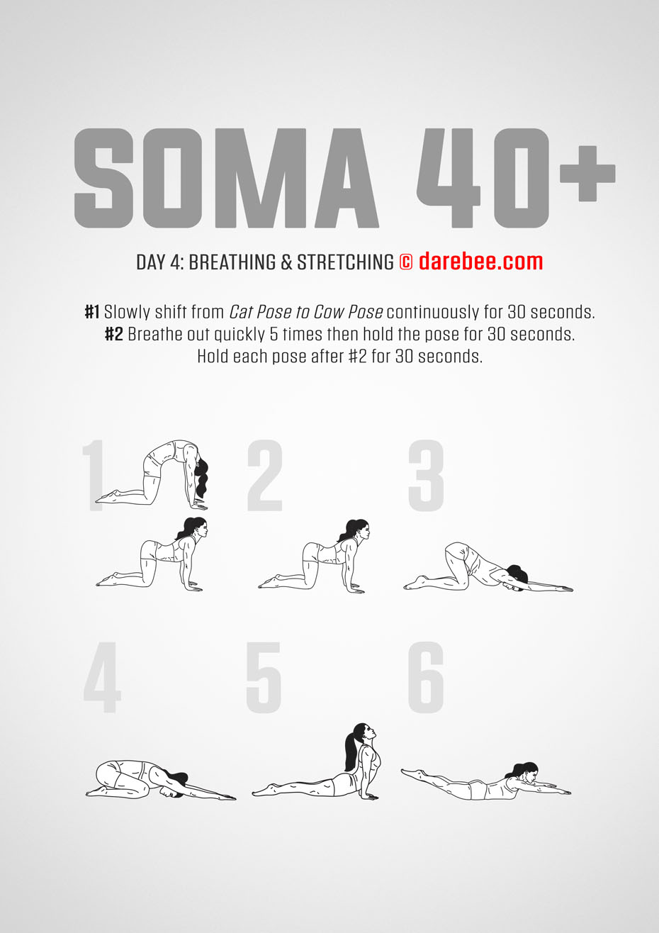 SOMA 40+ Fitness Program for Perimenopause and Menopause by DAREBEE