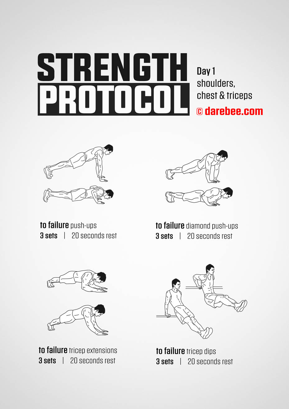 Strength Protocol: 30-Day Strength No-Equipment Program