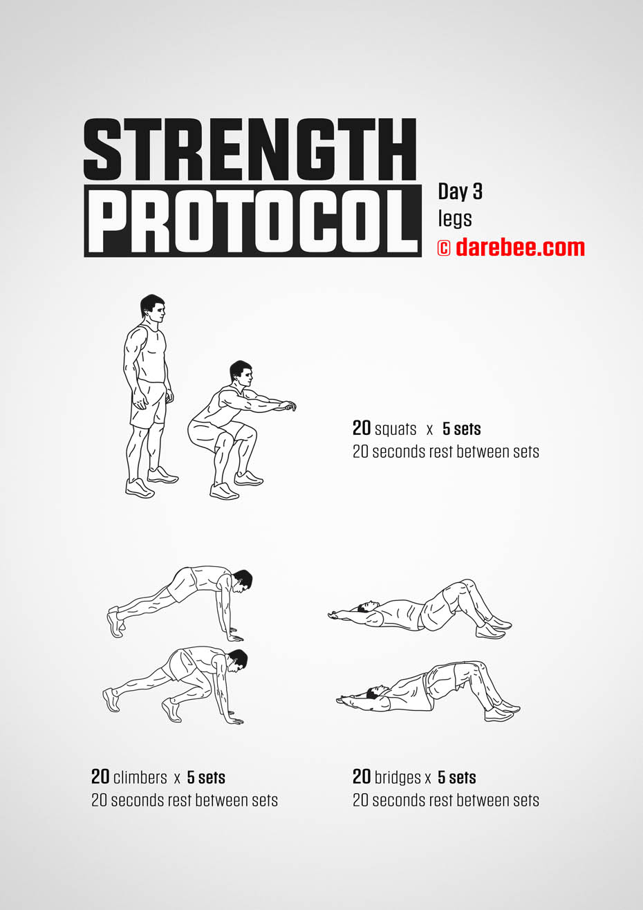 Strength Protocol: 30-Day Strength No-Equipment Program