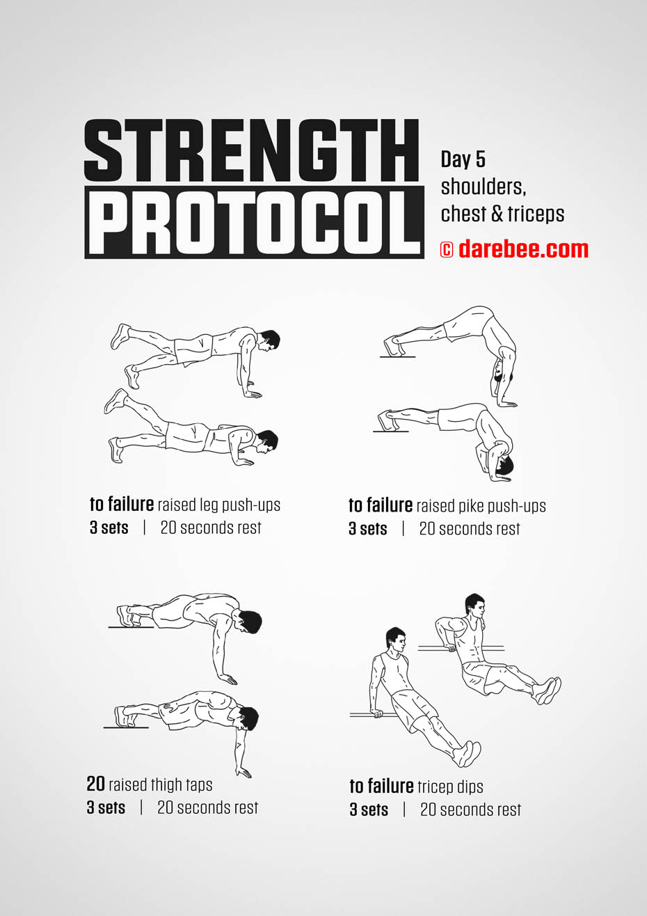 Strength Protocol: 30-Day Strength No-Equipment Program