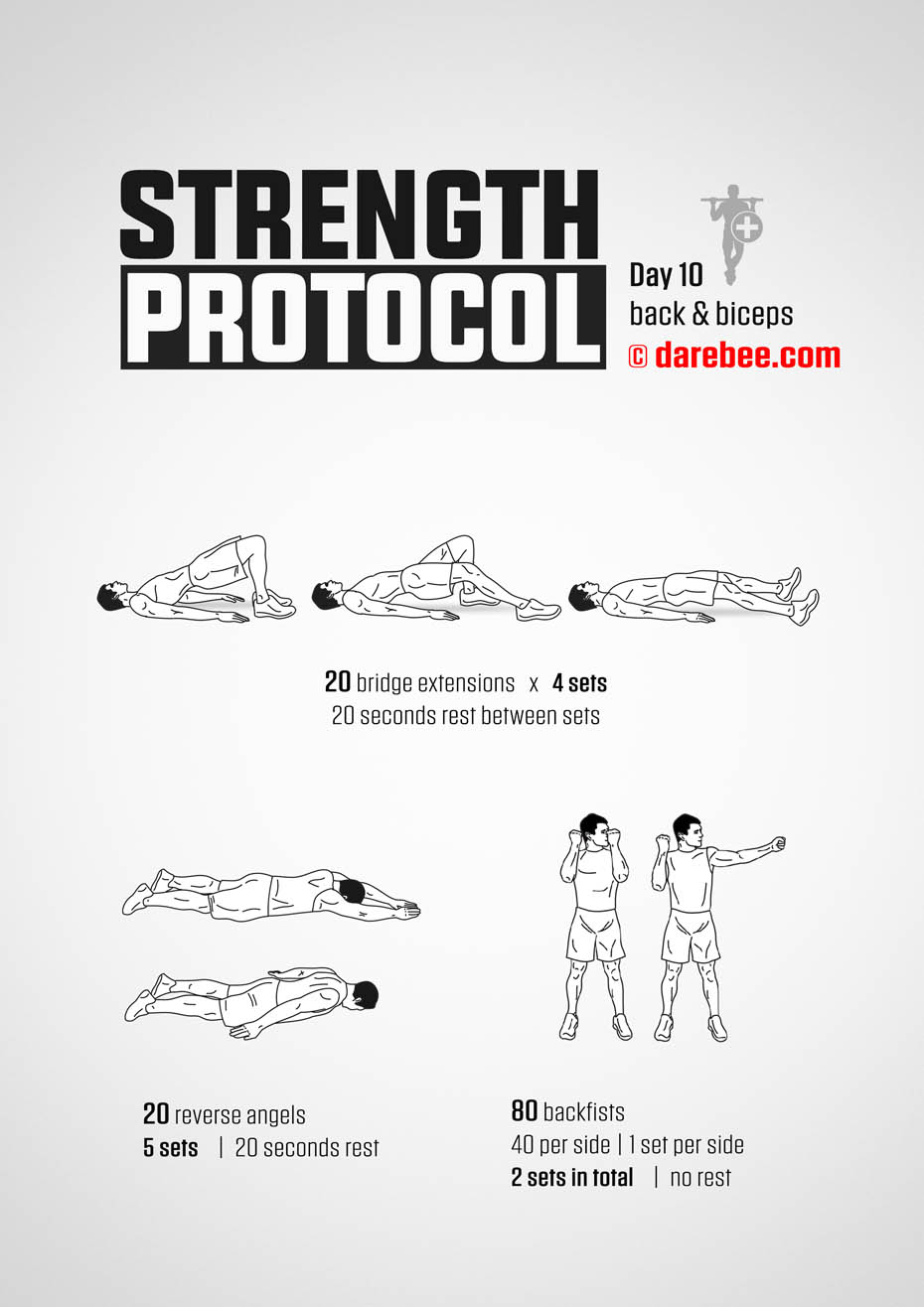 Strength Protocol: 30-Day Strength No-Equipment Program