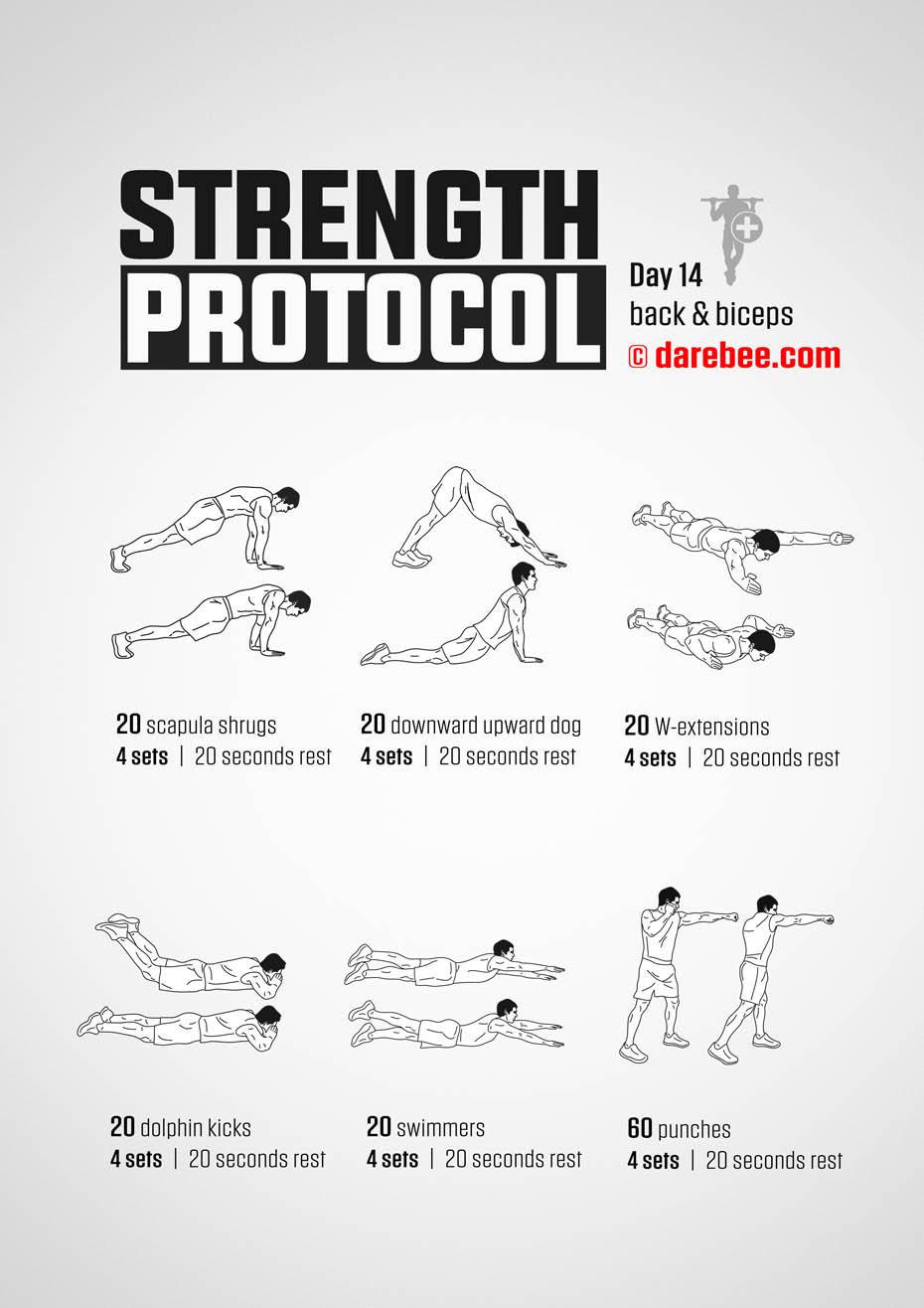 Strength Protocol: 30-Day Strength No-Equipment Program