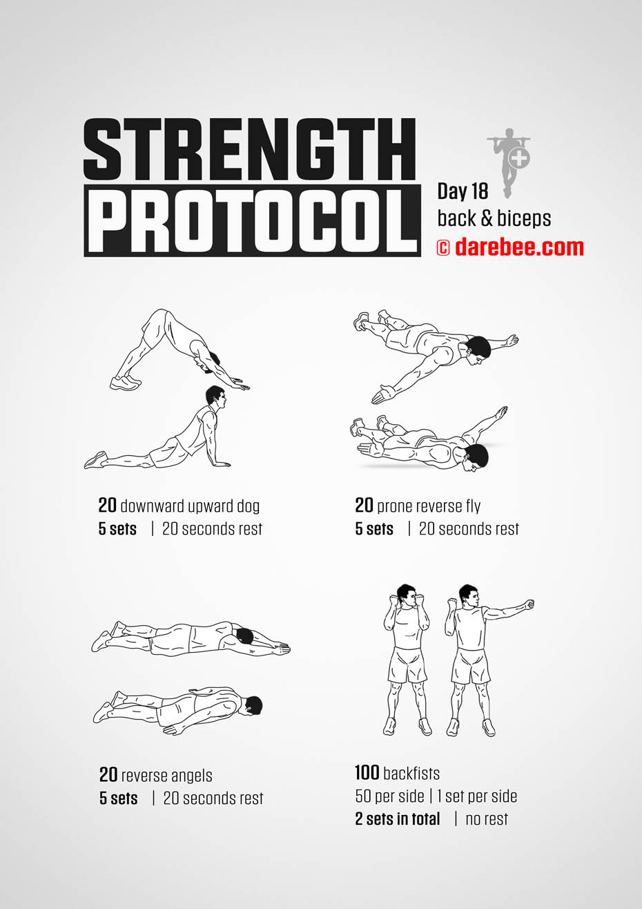 Strength Protocol: 30-Day Strength No-Equipment Program