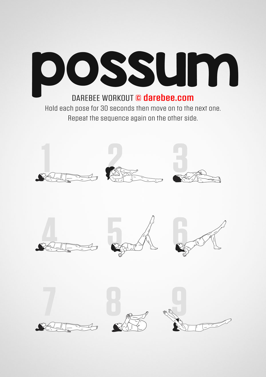 Possum Workout