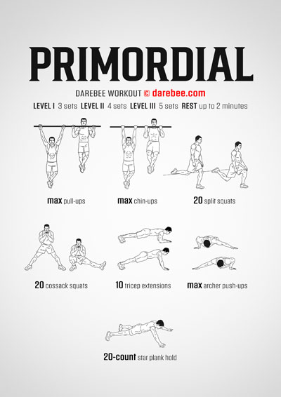 Primordial is a DAREBEE advanced home fitness workout that helps you develop total body strength in he comfort of your own home.