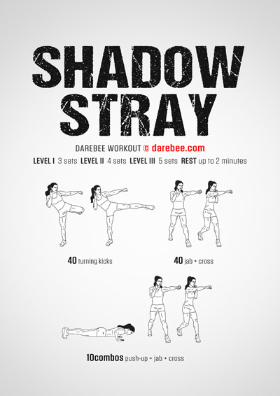 Shadow Stray is a DAREBEE no-equipment home fitness combat-moves based total body workout that will help you become fitter and smarter.